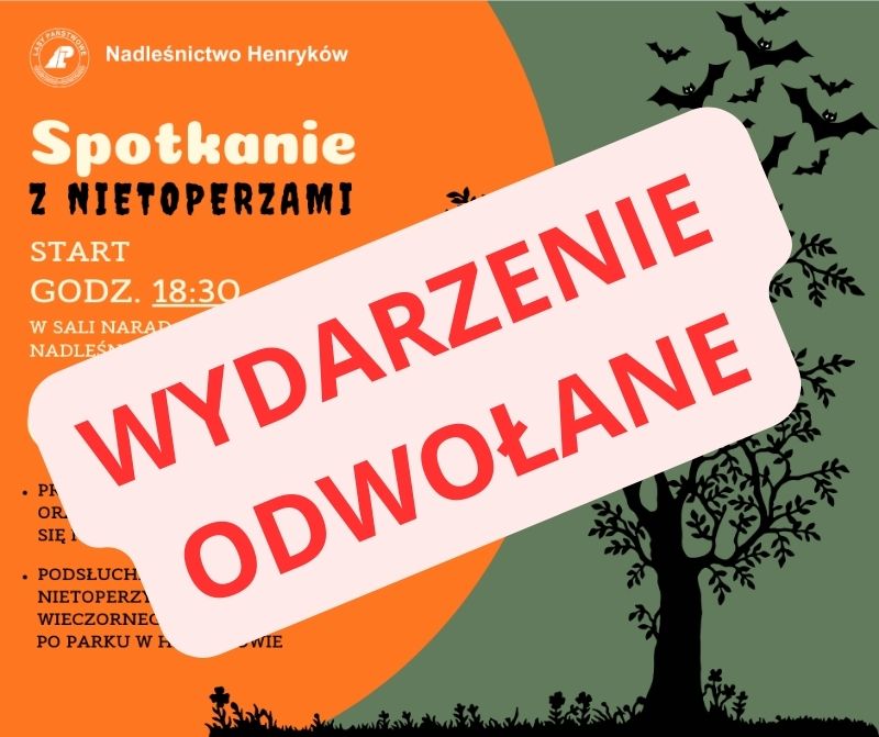 Spotkanie z Nietoperzami