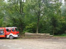 Pożar w Leśnictwie Witostowice